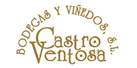 Castro Ventosa
