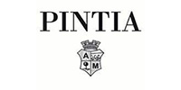 Pintia